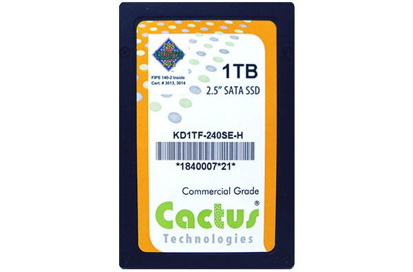 SSD Cactus