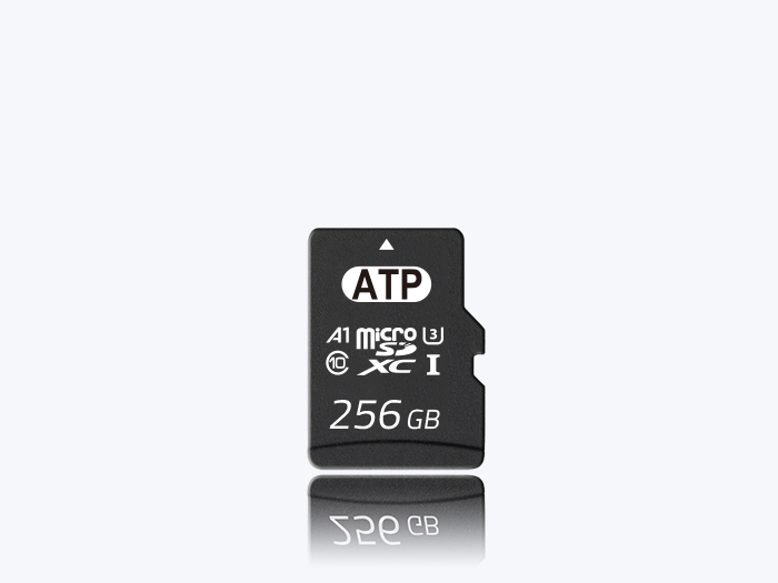 Karty micro sd