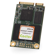 Dysk SSD mSATA cactus