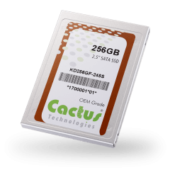 Dysk SSD SATA cactus
