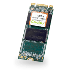 Dysk SSD M.2 2260 cactus