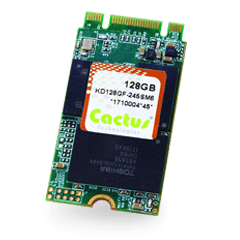 Dysk SSD 245S